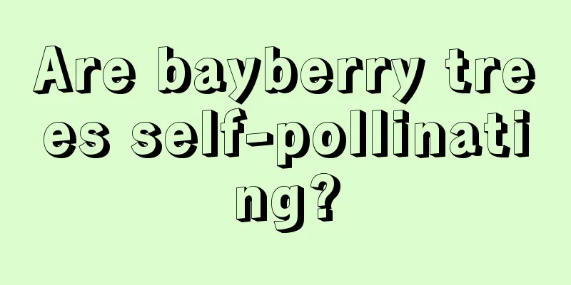 Are bayberry trees self-pollinating?