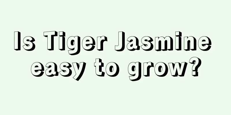 Is Tiger Jasmine easy to grow?