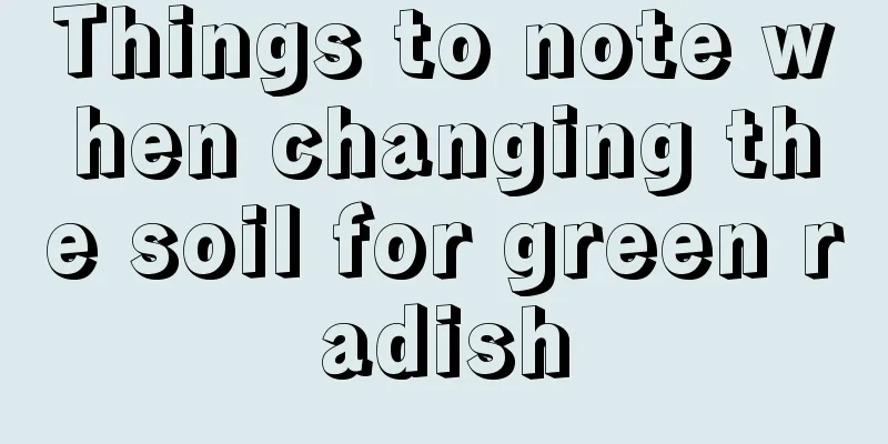 Things to note when changing the soil for green radish