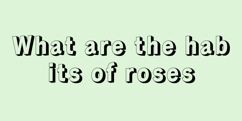 What are the habits of roses