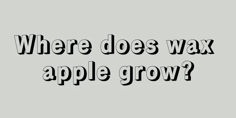 Where does wax apple grow?