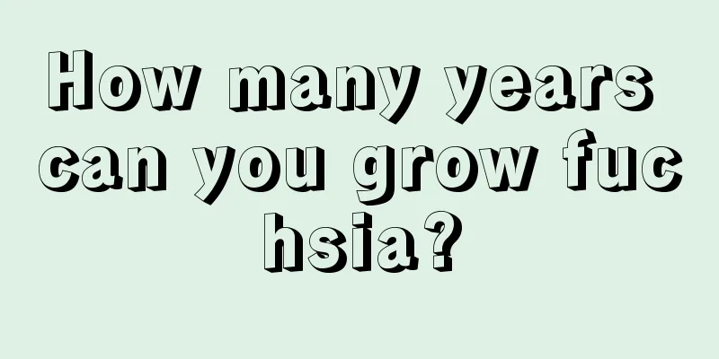 How many years can you grow fuchsia?