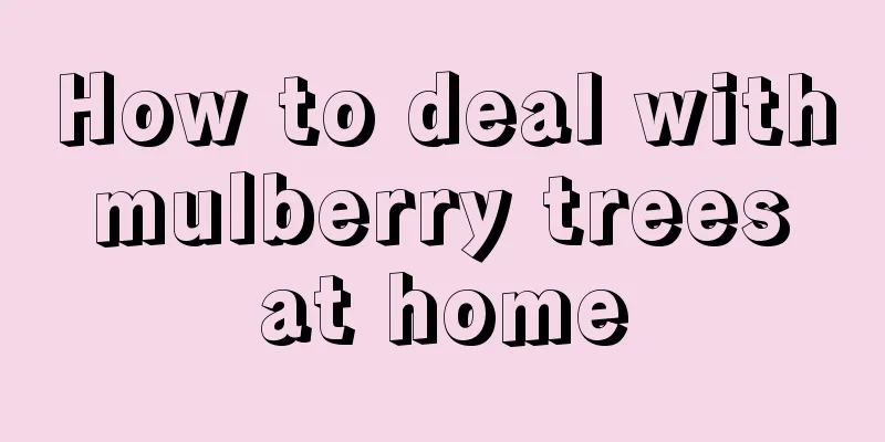 How to deal with mulberry trees at home