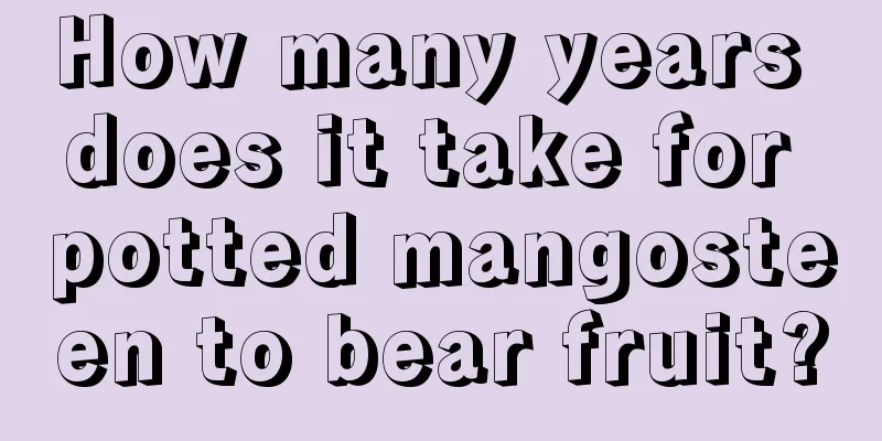 How many years does it take for potted mangosteen to bear fruit?