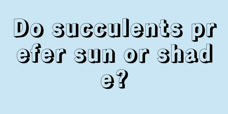 Do succulents prefer sun or shade?