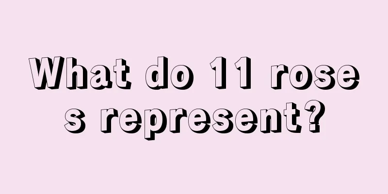 What do 11 roses represent?