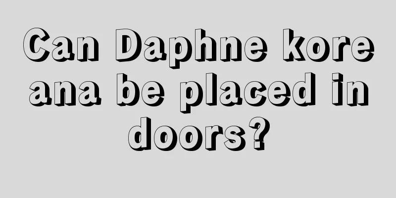 Can Daphne koreana be placed indoors?