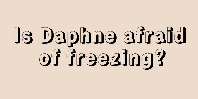 Is Daphne afraid of freezing?