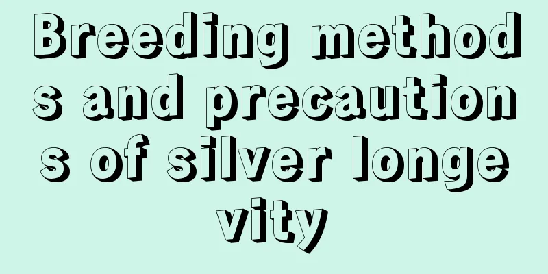 Breeding methods and precautions of silver longevity