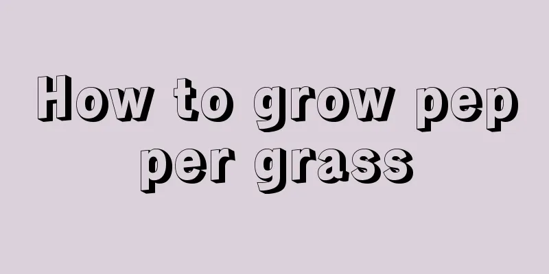 How to grow pepper grass