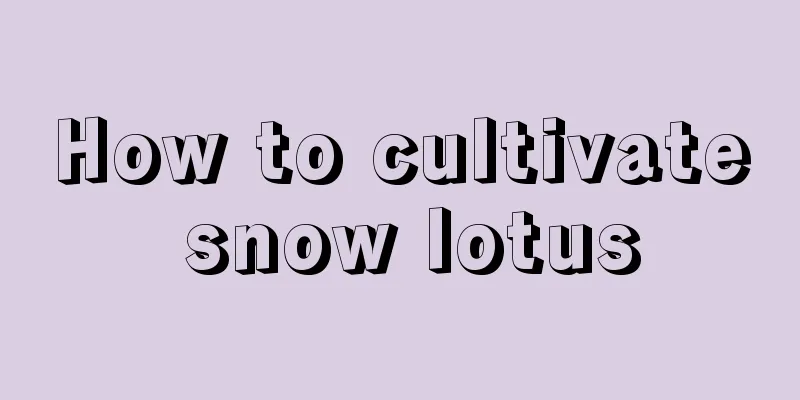 How to cultivate snow lotus