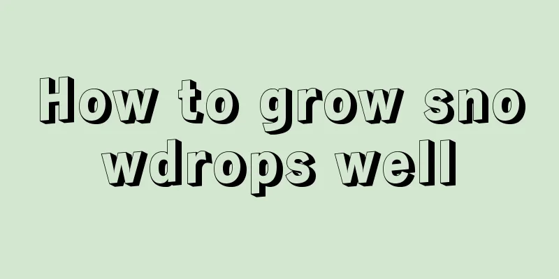 How to grow snowdrops well