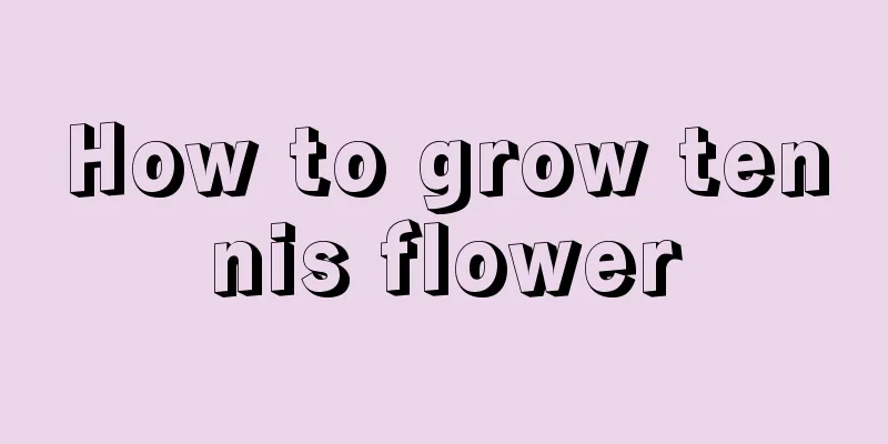 How to grow tennis flower