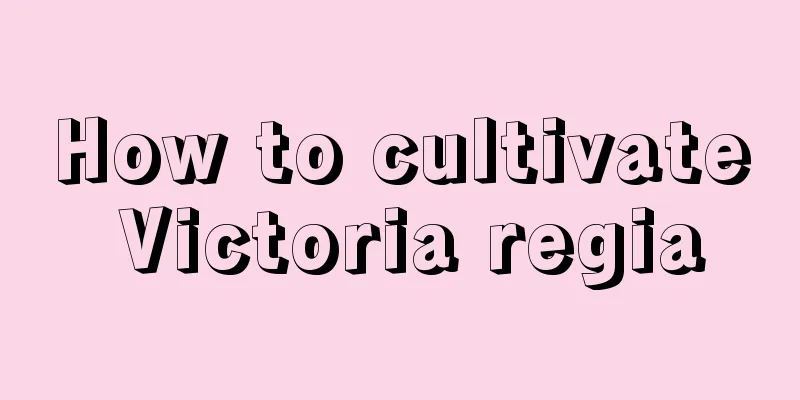 How to cultivate Victoria regia