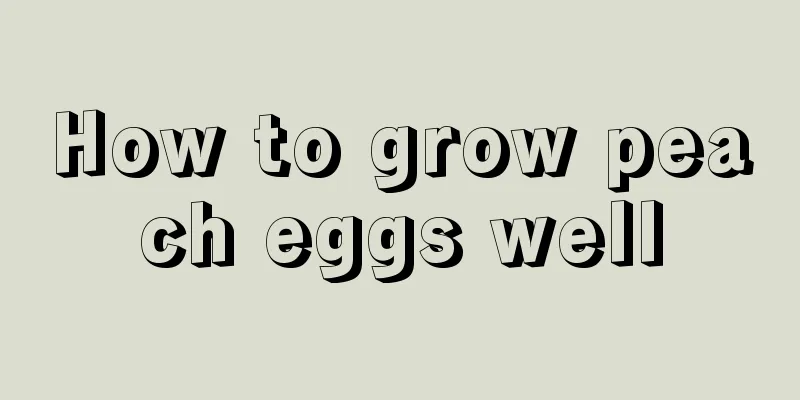 How to grow peach eggs well