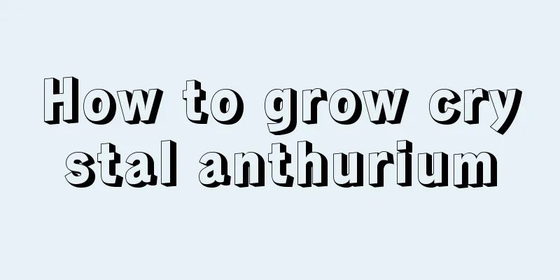 How to grow crystal anthurium