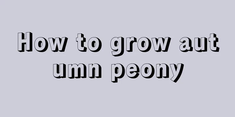 How to grow autumn peony