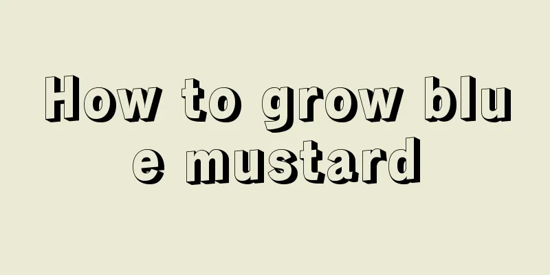 How to grow blue mustard