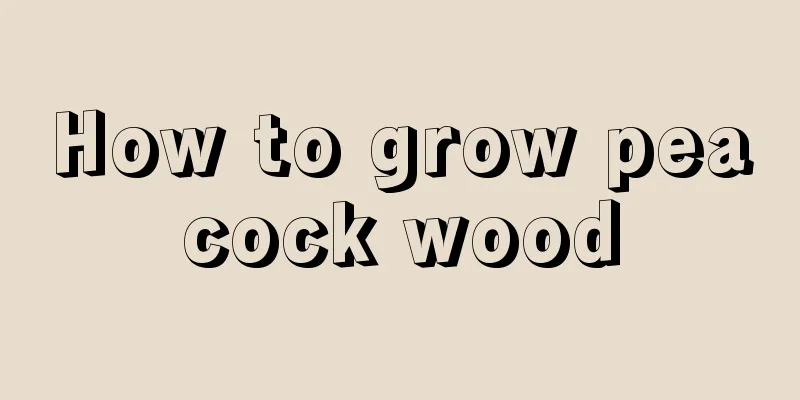 How to grow peacock wood