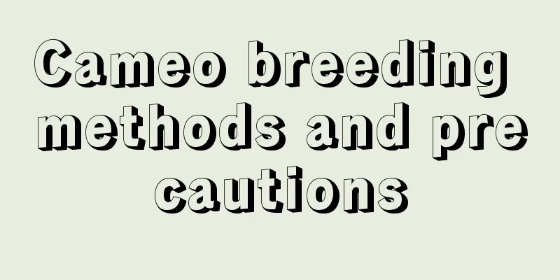 Cameo breeding methods and precautions