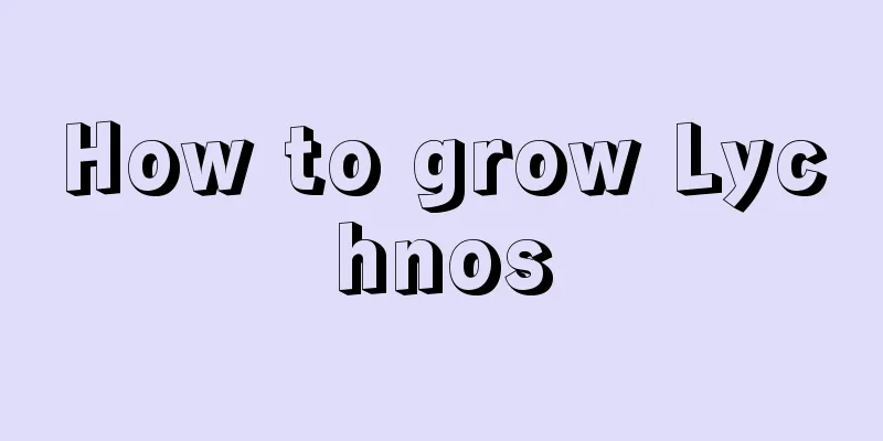 How to grow Lychnos