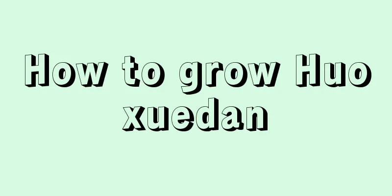 How to grow Huoxuedan