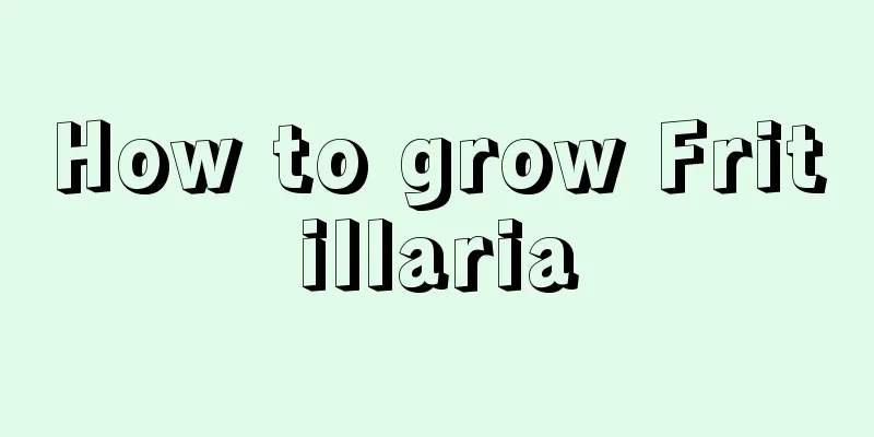 How to grow Fritillaria