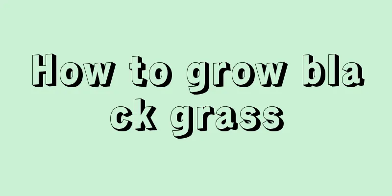 How to grow black grass