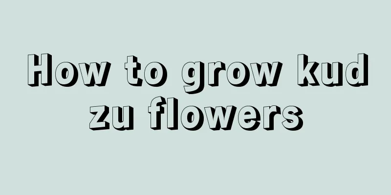 How to grow kudzu flowers