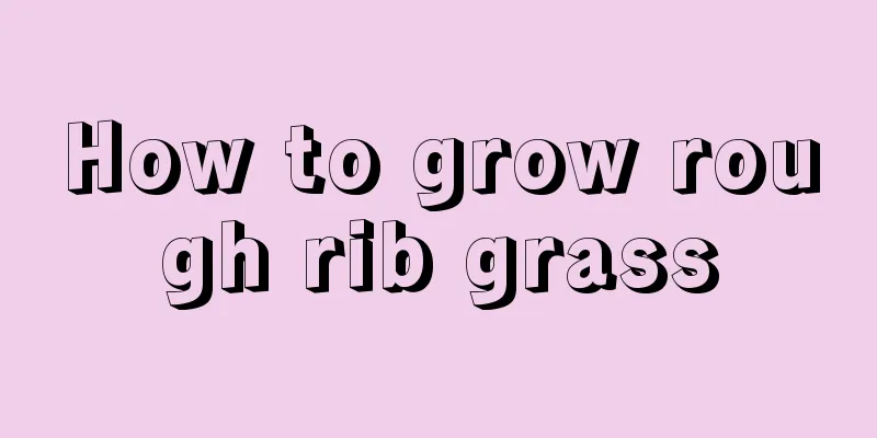 How to grow rough rib grass