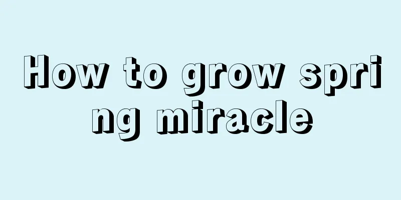 How to grow spring miracle