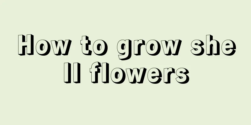 How to grow shell flowers