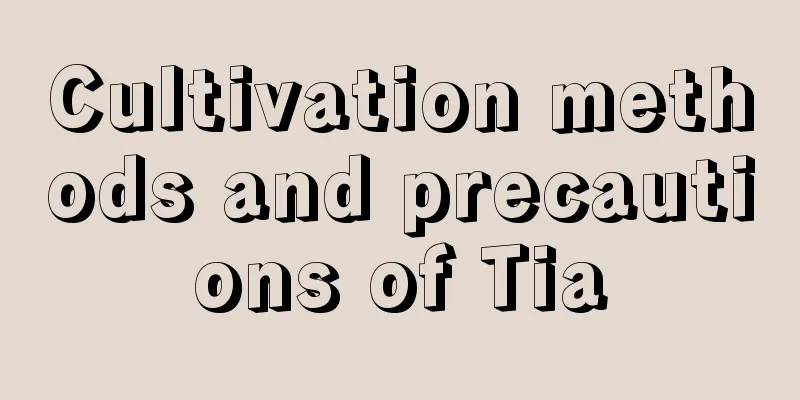 Cultivation methods and precautions of Tia