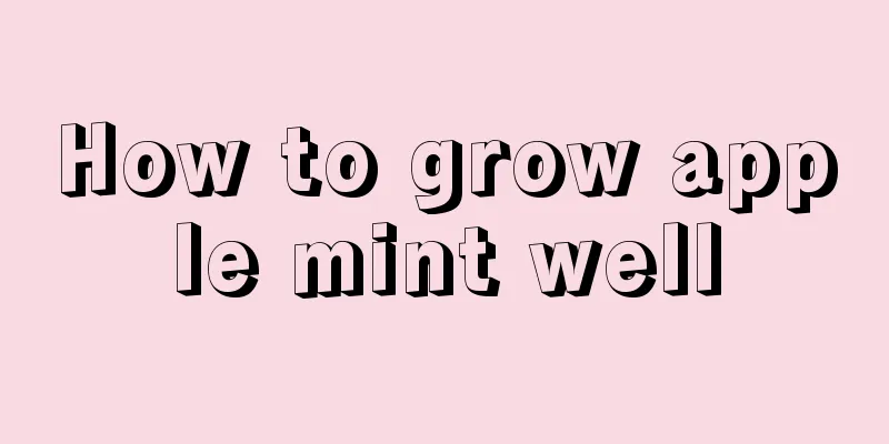 How to grow apple mint well