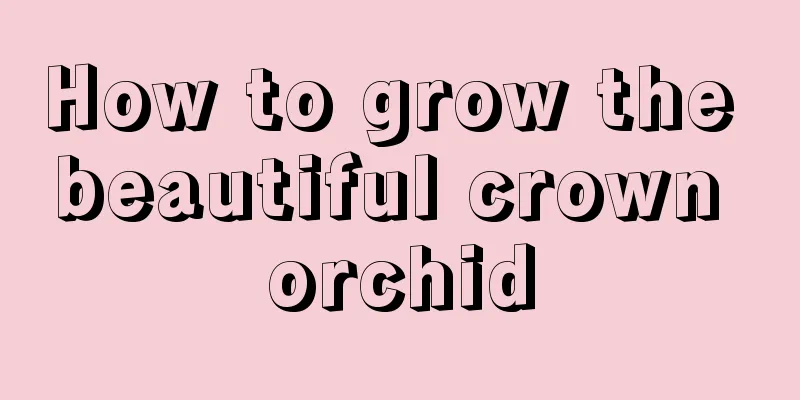 How to grow the beautiful crown orchid