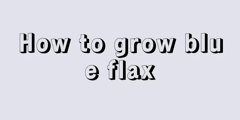 How to grow blue flax