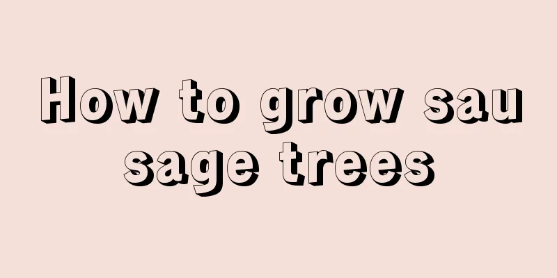 How to grow sausage trees