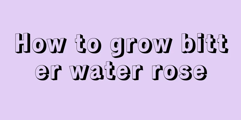 How to grow bitter water rose