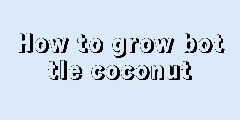 How to grow bottle coconut