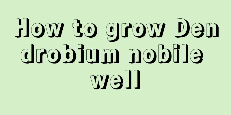 How to grow Dendrobium nobile well