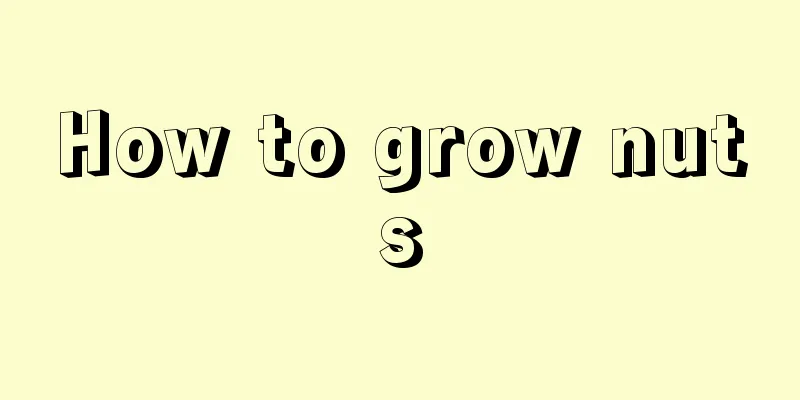 How to grow nuts