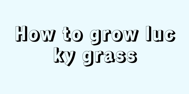 How to grow lucky grass