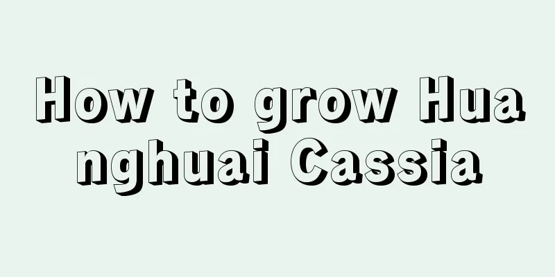 How to grow Huanghuai Cassia