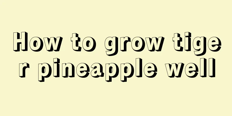 How to grow tiger pineapple well