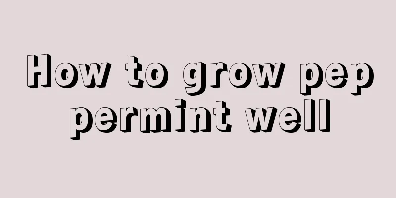 How to grow peppermint well