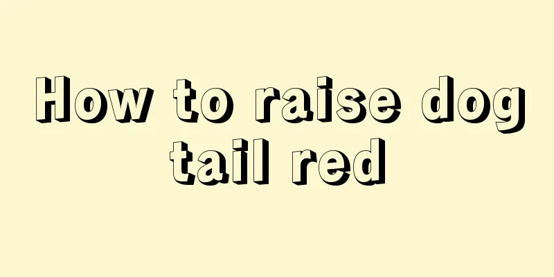 How to raise dogtail red