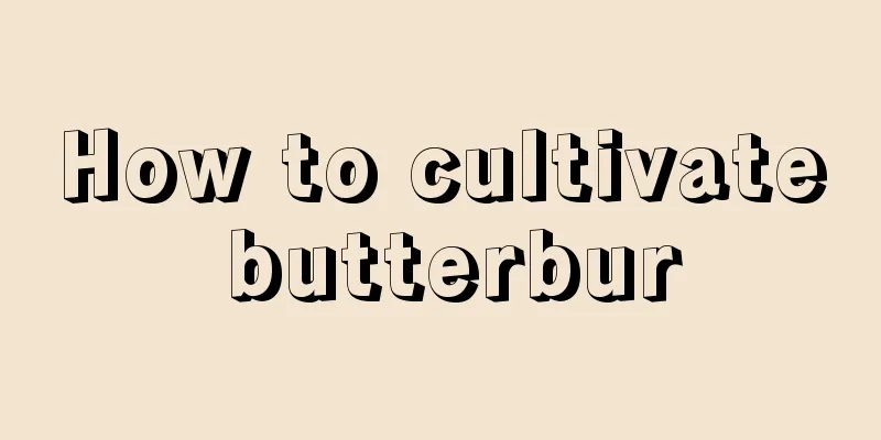 How to cultivate butterbur