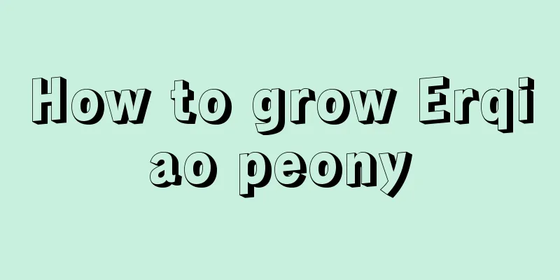 How to grow Erqiao peony