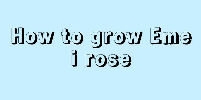 How to grow Emei rose