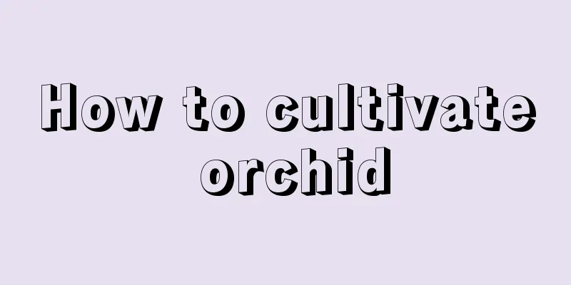 How to cultivate orchid